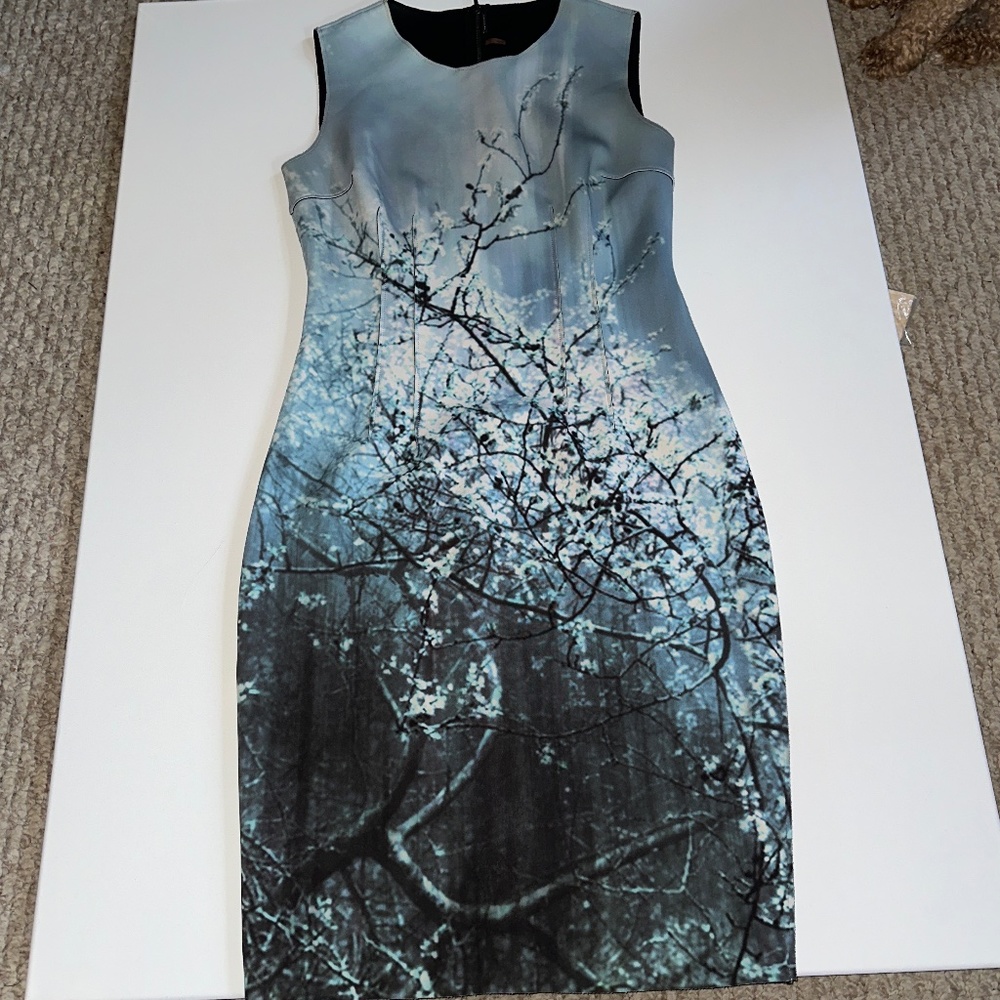 Winter Dress